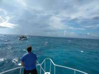Great day of scuba diving in Key Largo with Rainbow Reef on french twist santana 2018 08 04 r6734 1