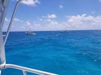 Great day of scuba diving in Key Largo with Rainbow Reef on french twist tropical legend 2018 08 02 r6717 1