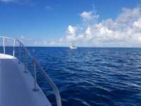 Great day of scuba diving in Key Largo with Rainbow Reef on french twist tropical serenity 2018 08 23 r6910 1