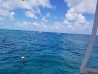 Great day of scuba diving in Key Largo with Rainbow Reef on hole in the wall tropical serenity 2018 08 18 r6874 1