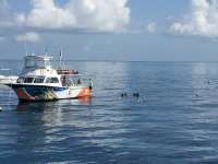 Great day of scuba diving in Key Largo with Rainbow Reef on hole in the wall tropical voyager 2018 08 12 r6817 1