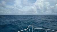 Great day of scuba diving in Key Largo with Rainbow Reef on molasses reef santana 2018 08 03 r6728 1