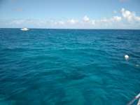 Great day of scuba diving in Key Largo with Rainbow Reef on molasses reef tropical adventure 2018 08 14 r6837 1