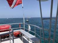 Great day of scuba diving in Key Largo with Rainbow Reef on molasses reef tropical odyssey 2018 08 10 r6799 1