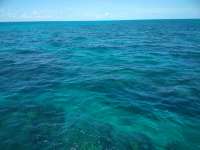 Great day of scuba diving in Key Largo with Rainbow Reef on north dry rocks tropical odyssey 2018 08 21 r6903 1