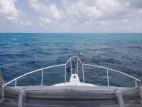 Great day of scuba diving in Key Largo with Rainbow Reef on north dry rocks tropical serenity 2018 08 07 r6769 1