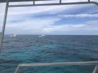 Great day of scuba diving in Key Largo with Rainbow Reef on north star tropical legend 2018 08 12 r6822 1