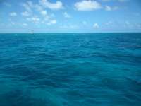 Great day of scuba diving in Key Largo with Rainbow Reef on permit ledges santana 2018 08 16 r6855 1