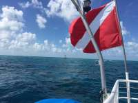 Great day of scuba diving in Key Largo with Rainbow Reef on permit ledges tropical adventure 2018 08 04 r6740 1