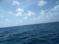 Great day of scuba diving in Key Largo with Rainbow Reef on permit ledges tropical odyssey 2018 08 31 r6964 1
