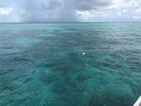 Great day of scuba diving in Key Largo with Rainbow Reef on pickles reef tropical legend 2018 08 24 r6924 1