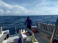 Great day of scuba diving in Key Largo with Rainbow Reef on pickles reef tropical legend 2018 08 26 r6943 1