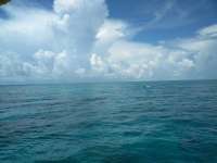 Great day of scuba diving in Key Largo with Rainbow Reef on pickles reef tropical serenity 2018 08 19 r6886 1