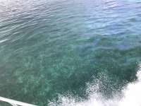 Great day of scuba diving in Key Largo with Rainbow Reef on pillar coral tropical adventure 2018 08 10 r6797 1