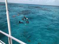 Great day of scuba diving in Key Largo with Rainbow Reef on sand island tropical legend 2018 08 08 r6780 1