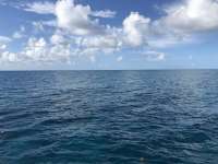 Great day of scuba diving in Key Largo with Rainbow Reef on snapper ledge tropical legend 2018 08 24 r6921 1