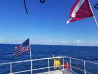 Great day of scuba diving in Key Largo with Rainbow Reef on spiegel grove tropical destiny 2018 08 20 r6889 1