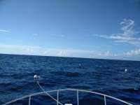 Great day of scuba diving in Key Largo with Rainbow Reef on spiegel grove tropical destiny 2018 08 24 r6923 1