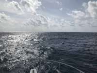 Great day of scuba diving in Key Largo with Rainbow Reef on spiegel grove tropical destiny 2018 08 31 r6963 1
