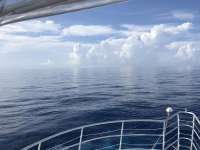 Great day of scuba diving in Key Largo with Rainbow Reef on spiegel grove tropical odyssey 2018 08 12 r6816 1