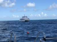 Great day of scuba diving in Key Largo with Rainbow Reef on uscgc duane tropical destiny 2018 08 18 r6870 1