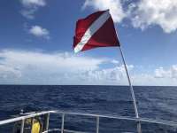 Great day of scuba diving in Key Largo with Rainbow Reef on uscgc duane tropical destiny 2018 08 28 r6950 1