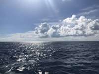 Great day of scuba diving in Key Largo with Rainbow Reef on uscgc duane tropical odyssey 2018 08 06 r6757 1