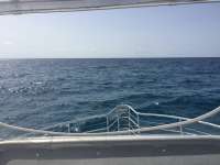 Great day of scuba diving in Key Largo with Rainbow Reef on uscgc duane tropical odyssey 2018 08 08 r6779 1