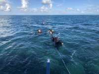 Great day of scuba diving in Key Largo with Rainbow Reef on winch hole tropical adventure 2018 08 19 r6876 1