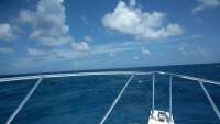 Great day of scuba diving in Key Largo with Rainbow Reef on woodys tropical explorer 2018 08 02 r6713 1