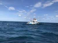 Great day of scuba diving in Key Largo with Rainbow Reef on benwood wreck tropical legend 2018 12 13 r7604 1