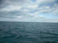 Great day of scuba diving in Key Largo with Rainbow Reef on christmastree cave tropical destiny 2018 12 12 r7596 1