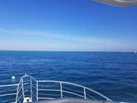 Great day of scuba diving in Key Largo with Rainbow Reef on christmastree cave tropical legend 2018 12 18 r7627 1
