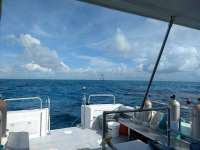 Great day of scuba diving in Key Largo with Rainbow Reef on drift french tropical explorer 2018 12 19 r7635 1
