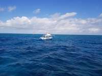 Great day of scuba diving in Key Largo with Rainbow Reef on eagle ray alley tropical legend 2018 12 08 r7581 1