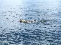 Great day of scuba diving in Key Largo with Rainbow Reef on eagle ray alley tropical odyssey 2018 12 29 r7667 1