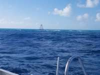 Great day of scuba diving in Key Largo with Rainbow Reef on eagle ray alley tropical odyssey 2018 12 31 r7674 1