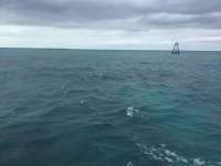 Great day of scuba diving in Key Largo with Rainbow Reef on eagle ray alley tropical serenity 2018 12 25 r7656 1