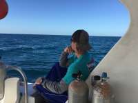 Great day of scuba diving in Key Largo with Rainbow Reef on fire coral cave tropical legend 2018 12 06 r7574 1