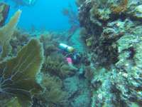 Great day of scuba diving in Key Largo with Rainbow Reef on fire coral cave tropical legend 2018 12 24 r7652 1