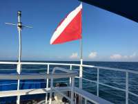 Great day of scuba diving in Key Largo with Rainbow Reef on hole in the wall tropical adventure 2018 12 02 r7565 1