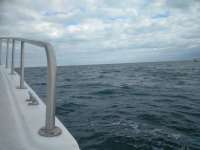 Great day of scuba diving in Key Largo with Rainbow Reef on hole in the wall tropical destiny 2018 12 24 r7649 1