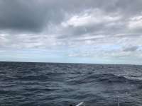 Great day of scuba diving in Key Largo with Rainbow Reef on hole in the wall tropical legend 2018 12 13 r7599 1