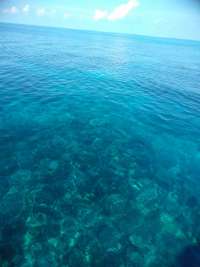 Great day of scuba diving in Key Largo with Rainbow Reef on molasses reef santana 2018 12 17 r7623 1
