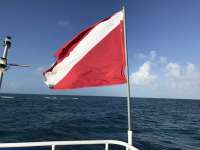 Great day of scuba diving in Key Largo with Rainbow Reef on north star tropical adventure 2018 12 29 r7665 1