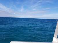 Great day of scuba diving in Key Largo with Rainbow Reef on snapper ledge tropical serenity 2018 12 11 r7592 1