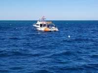 Great day of scuba diving in Key Largo with Rainbow Reef on spanish anchor tropical serenity 2018 12 11 r7594 1
