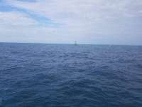 Great day of scuba diving in Key Largo with Rainbow Reef on spanish anchor tropical serenity 2018 12 15 r7611 1