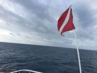 Great day of scuba diving in Key Largo with Rainbow Reef on spiegel grove tropical destiny 2018 12 10 r7588 1