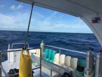 Great day of scuba diving in Key Largo with Rainbow Reef on spiegel grove tropical explorer 2018 12 13 r7601 1